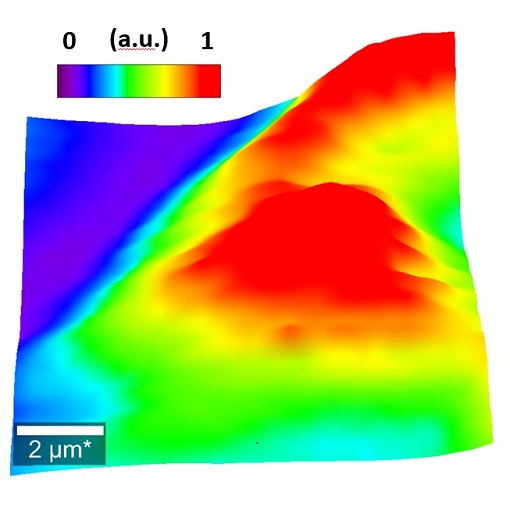 Super emissive van der Waals heterostructures attoRAMAN