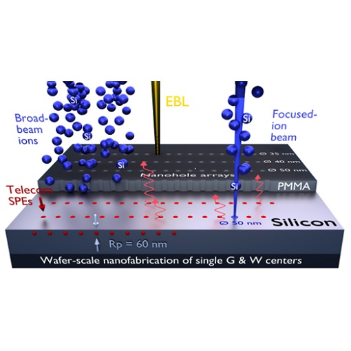 Telecom Single Photon Emitters in Silicon attoDRY800  LT APO