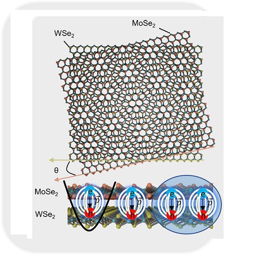 Trapping Potentials and Biexcitons in a MoSe2 WSe2 heterobilayer attoDry800  LT APO   ANSxy100lr LT