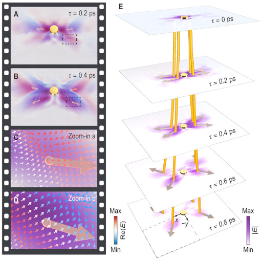 Unveiling Polariton Pulse Dynamics IR neaSCOPE+fs