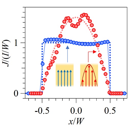 Viscous Dirac fluid paparazzied by NV magnetometry ANPx101  ANS100