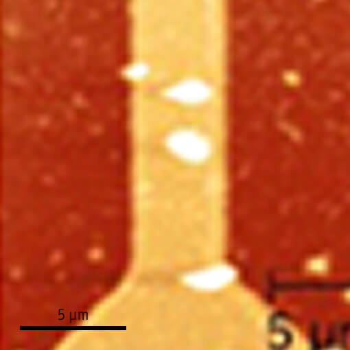 Visualization of Edge State in LPCMO Manganite Strip atomic force microscope attoAFM