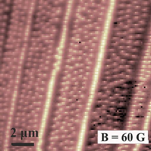 Vortex Barriers in Iron Pnictides  attoLIQUID  cryogenic atomic force microscope attoAFM