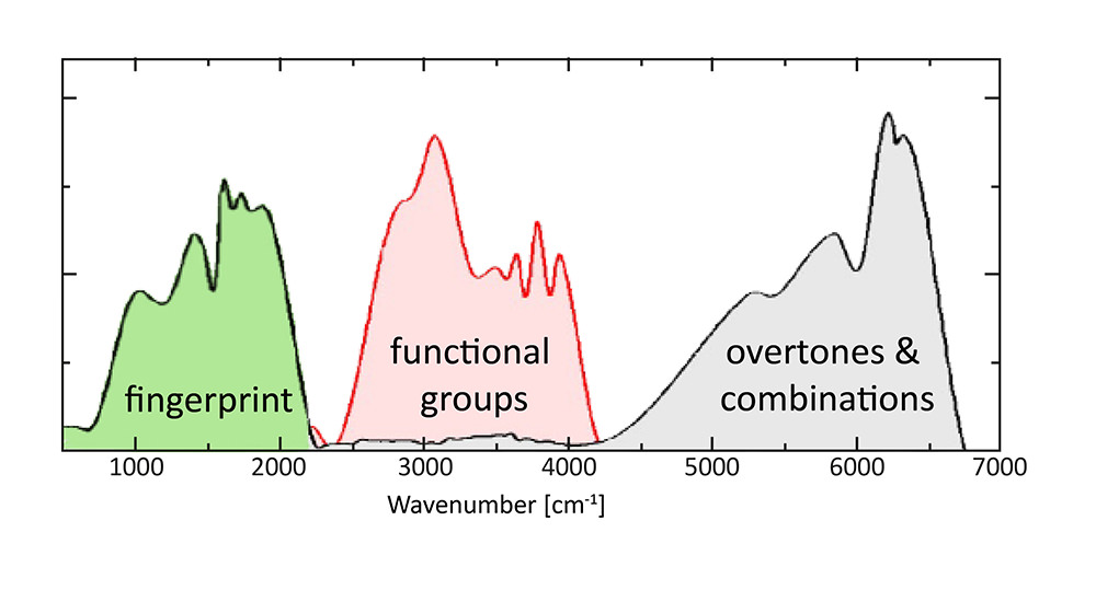 nano-FTIR-whole_mid-IR_fingerprint_and_functional_group.jpg