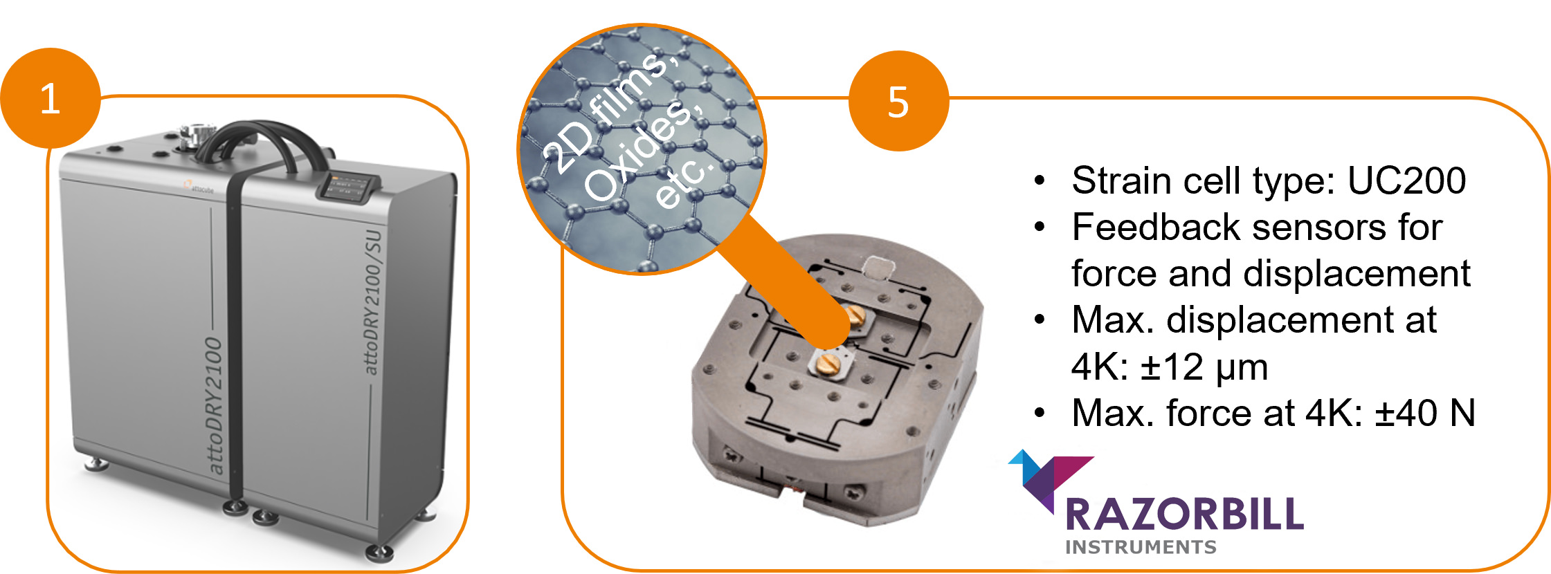 strain cell type.png