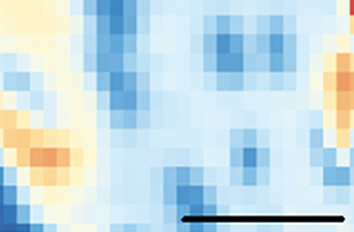 Addressing Strain and Doping by Cryogenic Raman Mapping attoRAMAN