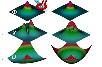 Anomalous vortex dynamics in URu2Si2 ANP101 Serie
