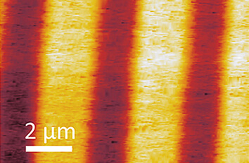 attoAFM CFM in Toploading Insert attoAFM CFM oder CSFM  mK