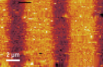 attoAFM III in Toploading Insert cryogenic atomic force microscope attoAFM III  mK application