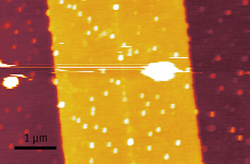 attoAFM III Mounted on Mixing Chamber cryogenic scanning probe microscope attoAFM III  mK application