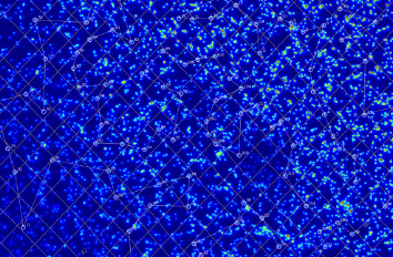 Automatic Mapping of Semiconductor QDs made with cryogenic positioner  ANP RES LT