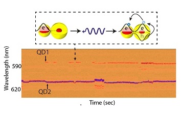 Bright Dates: Coupling Single Colloidal Quantum Dots attoDRY800  LT APO