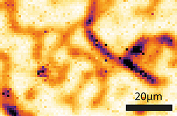 Cavity Enhanced Raman Microscopy ambient or vacuum positioner  ECSx3030