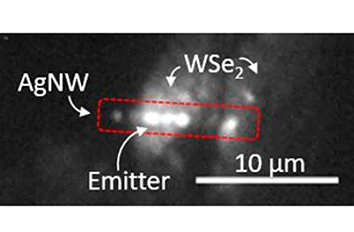 Coupling single defects to a nanowire closed cycle cryostat attoDRY1000  cryogenic confocal microscopy attoCFM