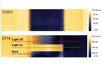 Elucidated behavior of a ferroelectric semiconductor phototransistor attoAFM I + KPFM upgrade + PFM upgrade + attoDRY2100