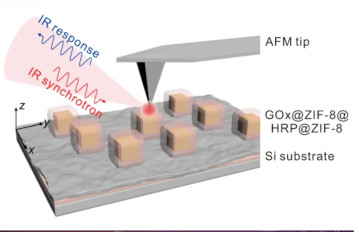 Enzymatical Biocatalytic Reactions IR neaSCOPE+s