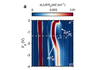 Exciton polarons optical fingerprint in moiré superlattice attoDRY1000
