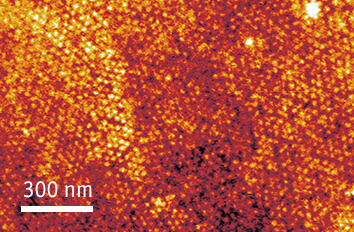 HF SPM using attocube nano positioners in magnetic fields above 30 T cryogenic nanopositioner  ANPz30