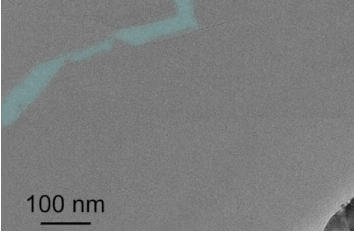 In situ electrical biasing technique in MoS2 closed cycle attoDRY2100 and confocal microscope attoCFM I