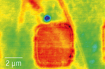 KPFM of Au on Pt Pattern atomic force microscope attoAFM for KPFM