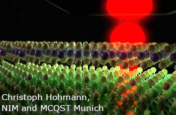 Light matter coupling in TMD monolayers and heterostructures nanopositioners for cryogenic and ambient environment