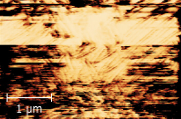 Local Conductivity Mapping and PFM on BFO Thin Film cryogenic atomic force microscope attoAFM for ct AFM