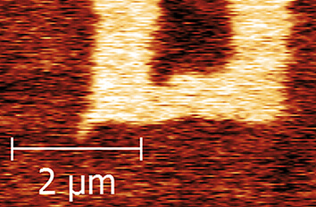 Low Temperature Piezoresponse Force Microscopy on BiFeO cryogenic atomic force microscope attoAFM for PFM