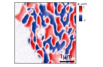 Magnetic imaging by quantum sensor attoLIQUID1000  attoAFM CFM  LT APO