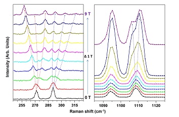 Magnetic Modes in Rare Earth Perovskites: A Magnetic Field Dependent Inelastic Light Scattering study attoRAMAN  attoLIQUID2000
