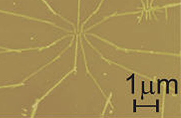 Mapping and Manipulation of Leakage Currents in a Nanostructure made with cryogenic positioners