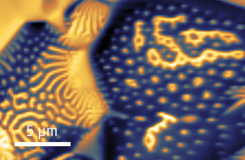 MFM for Optimization of Sintered Magnets atomic force microscope attoAFM for MFM