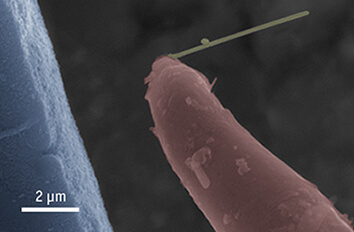Micromechanical Testing of Silver Nanowires ECS