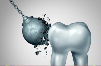 Mineralization of Protein Nanoribbons IR neaSCOPE