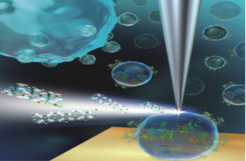 nano Vesicle Tumor Diagnostic IR neaSCOPE+s