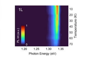 Optically disclosed magnetic ordering attoDRY1000