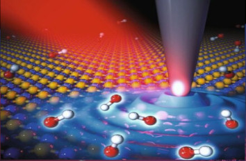 Phonon Polaritons & Organic Molecules IR neaSCOPE+s