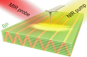 Plasmons Revolutionize Optoelectronics IR neaSCOPE+fs