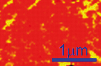 Scanning Microwave Impedance Microscopy at 4 K and 9 T made with cryogenic positioner  ANP LT