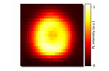 Shaping Exciton Wave Functions in 2D Semiconductors attoDRY800  LT APO
