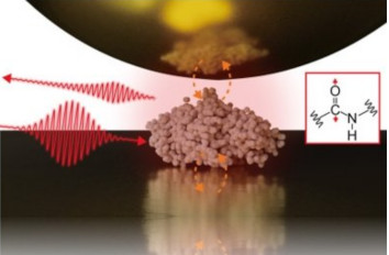 Single Protein IR Nanospectroscopy IR neaSCOPE+s