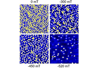Skyrmions induced by strain gradient attoMFM  attoDRY1000