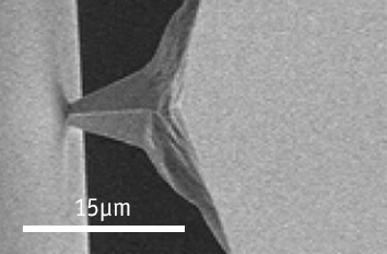 Stress strain behavior of fibrous biological material measured using an AFM SEM hybrid SEM   Legacy prod MIC