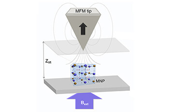 Switching the Magnetic Vortex Core in a Single Nanoparticle atomic force microscope attoAFM for MFM
