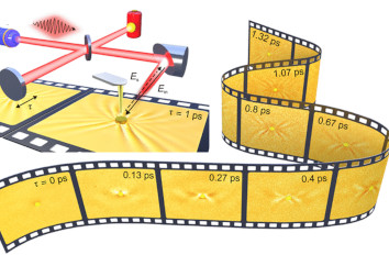 Unveiling Polariton Pulse Dynamics IR neaSCOPE+fs