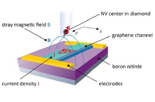Viscous Dirac fluid paparazzied by NV magnetometry ANPx101  ANS100