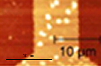 Visualization of Edge State in LPCMO Manganite Strip atomic force microscope attoAFM