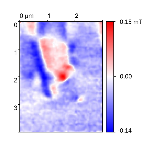 attoNVM selected measurements_van der Waals magnet.png