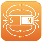 Icon Magnetic Fields 