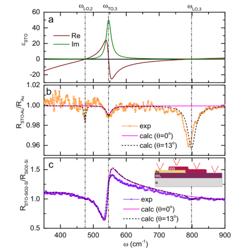 Enhanced Perovskite Phonon Polaritons Ir neaSCOPE+s