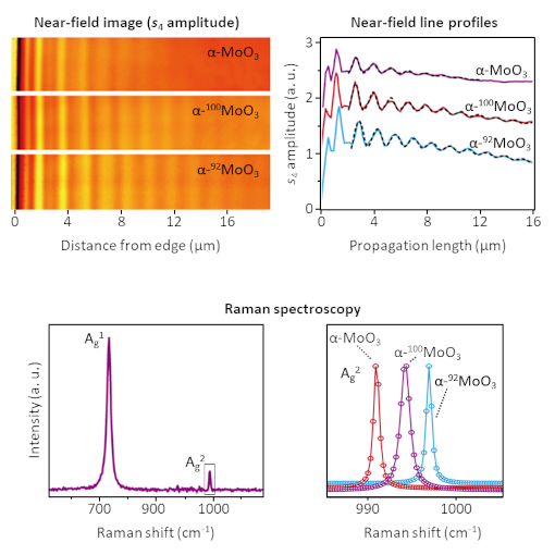 Low Loss Isotopic MoO3 Phonons IR neaSCOPE+TERs